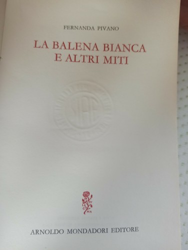 Balena bianca altri - bianca, e